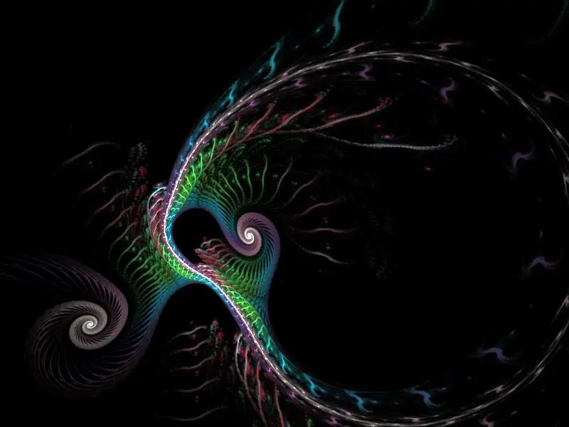 daniels swirly
