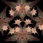 Psychedelic Starfish