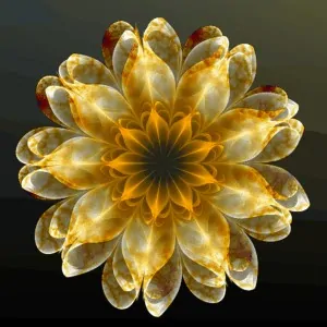 Golden flower-like pattern with layered, translucent petals set against a dark background.