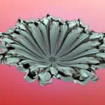 A shiny, metallic flower-like shape sits against a gradient pink background.