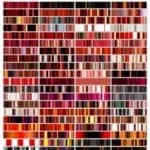 Reds cover