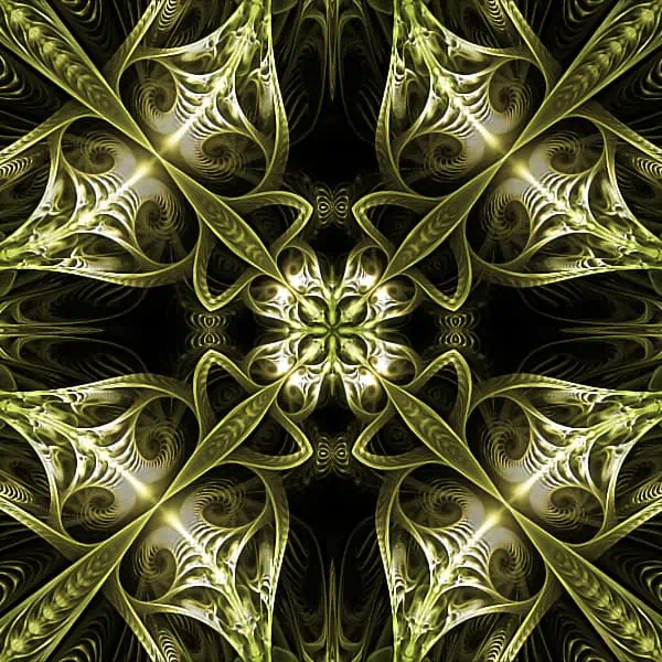 jwfs light and dark cover