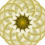 Intricate yellow and white geometric pattern resembling a flower with layered petals and a star-shaped center on a white background.
