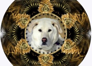 Photo Ornament Flame Pack