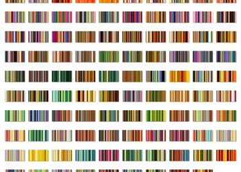 Multi Colors  Gradient