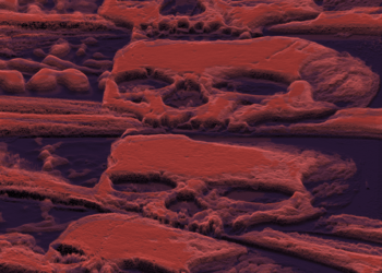 Skull Stones