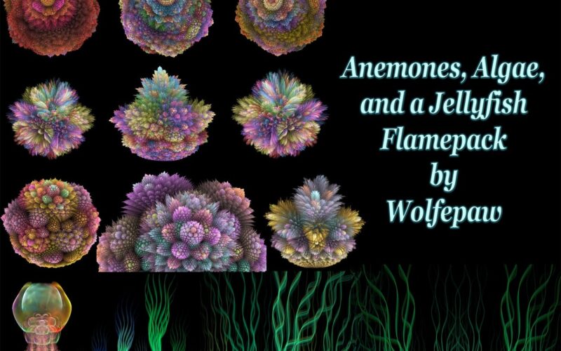 Anemones, Algae, and a Jellyfish Flamepack Image