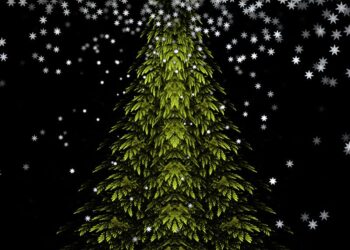 Christmas Trees
